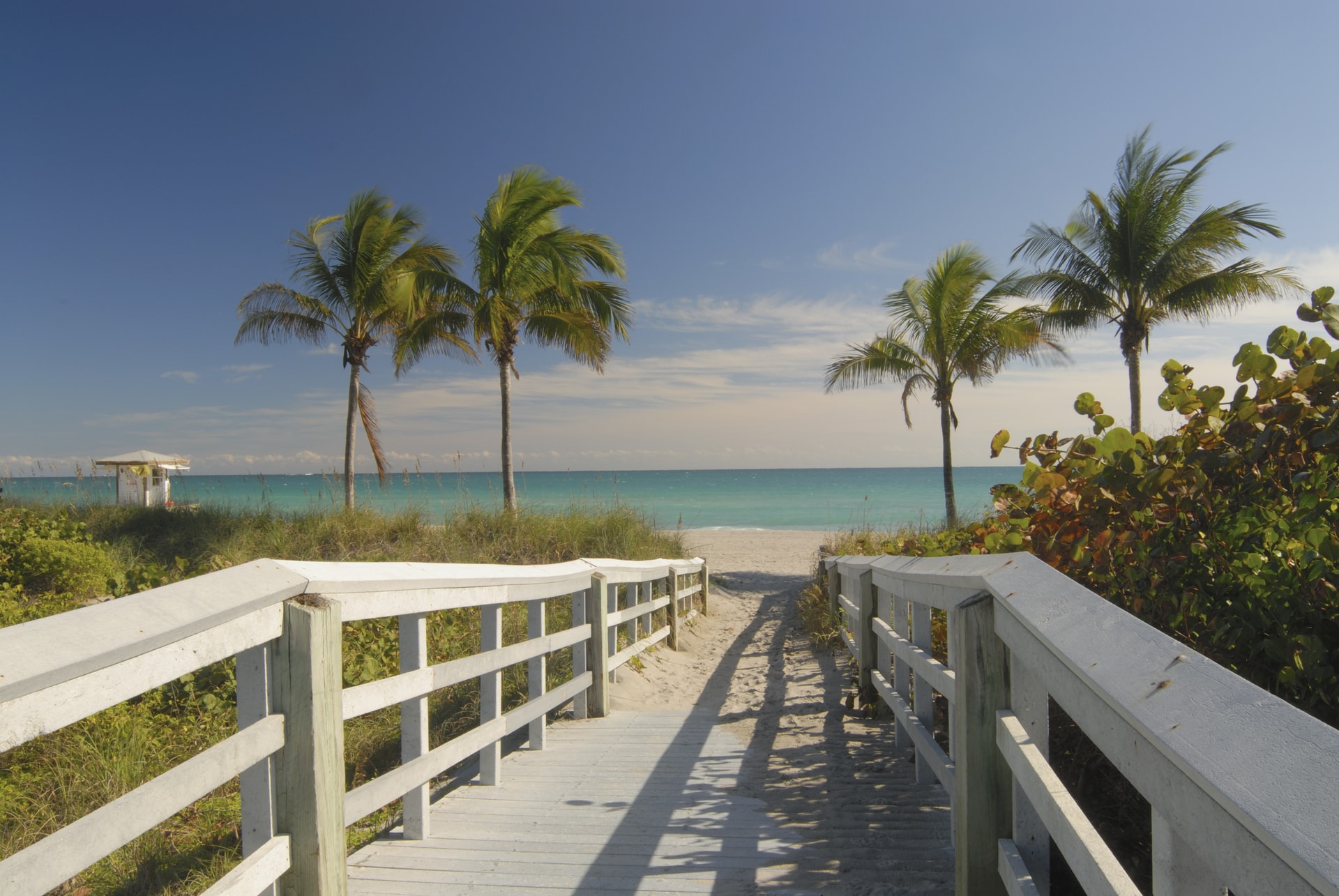 A white wooden boardwalk leading through sea grape to a palm-lined beach