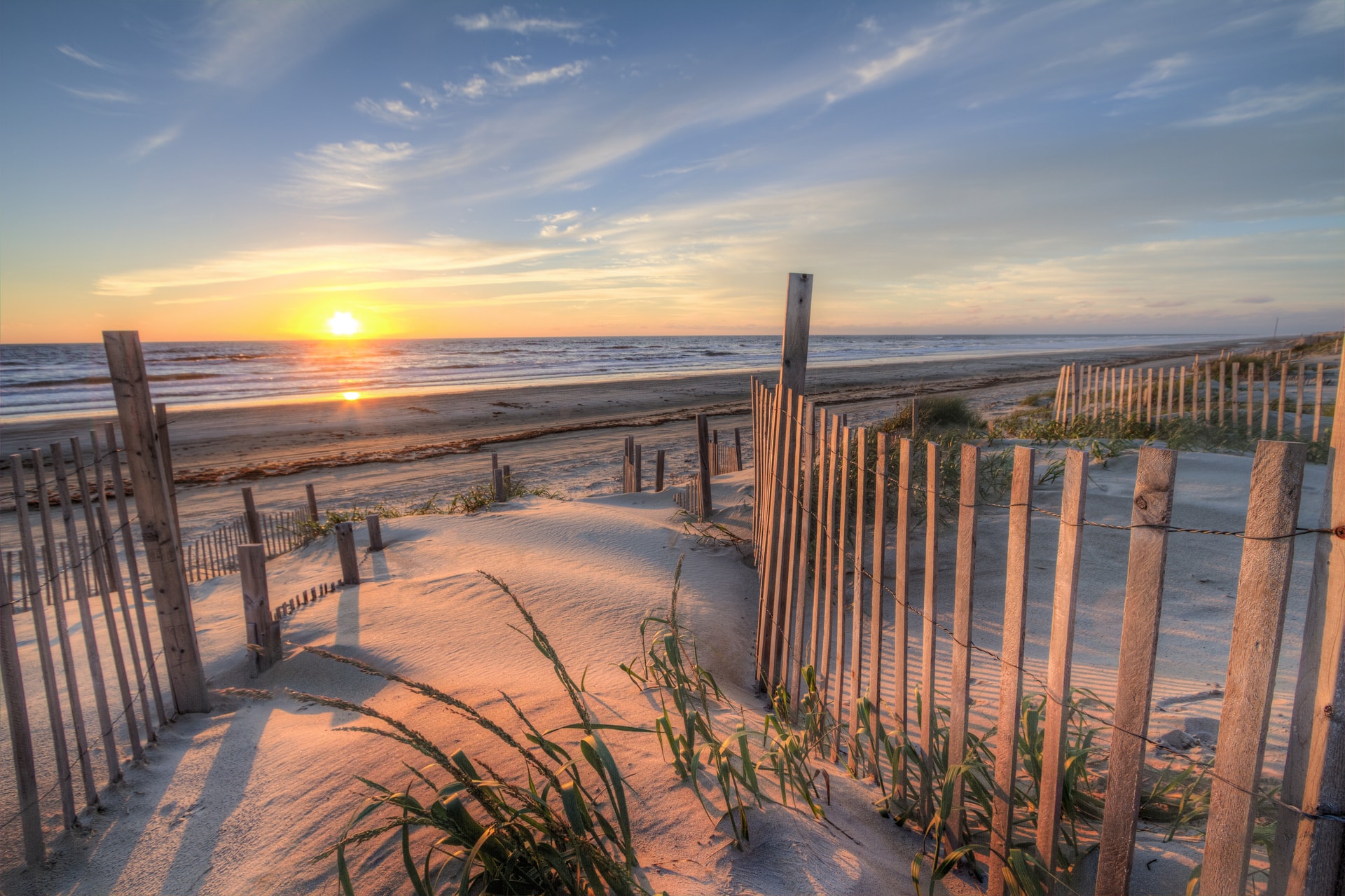 Dune fencing and sea oats along an undeveloped stretch of beach at sunset